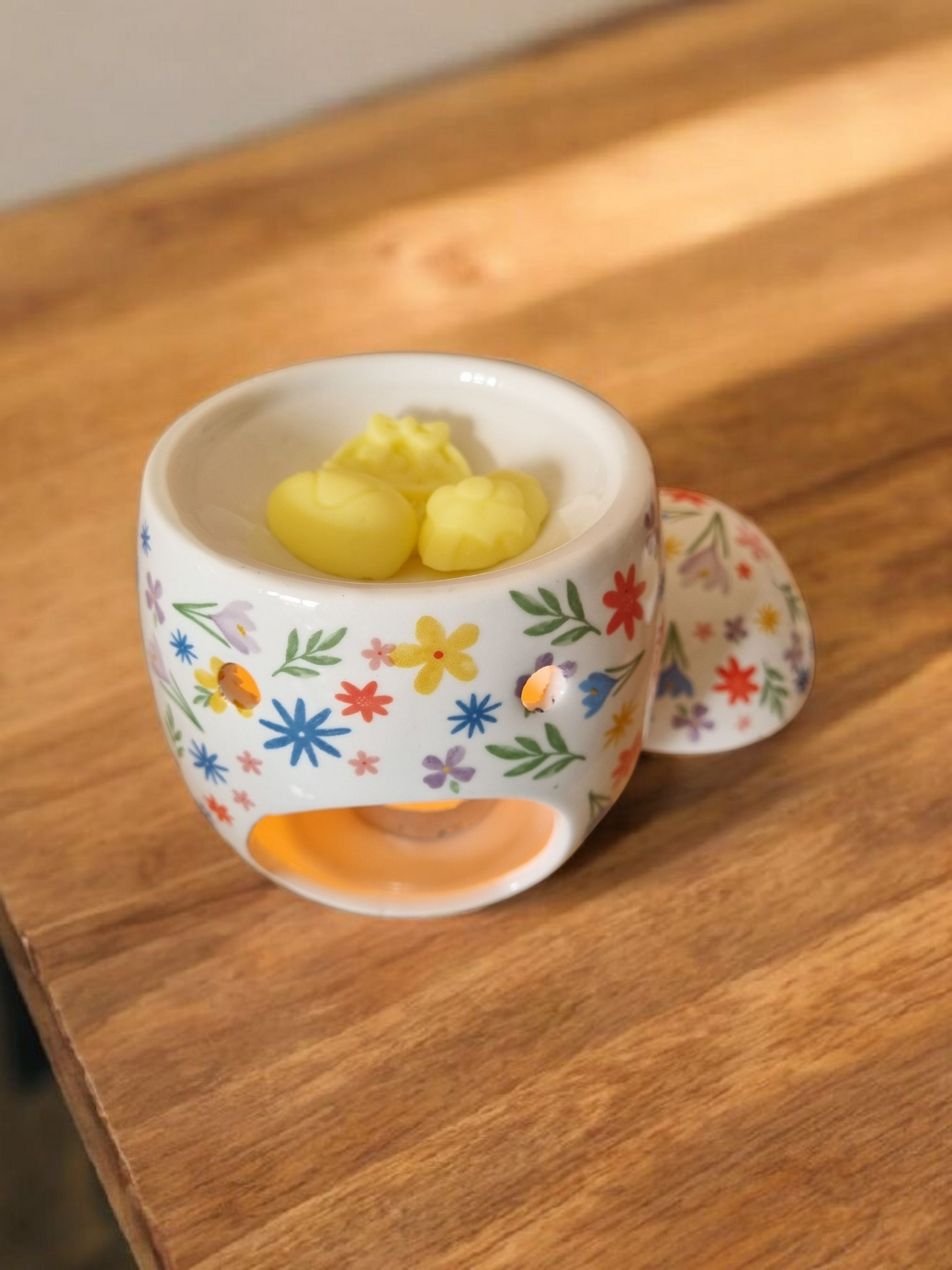 Spring wax/oil burner